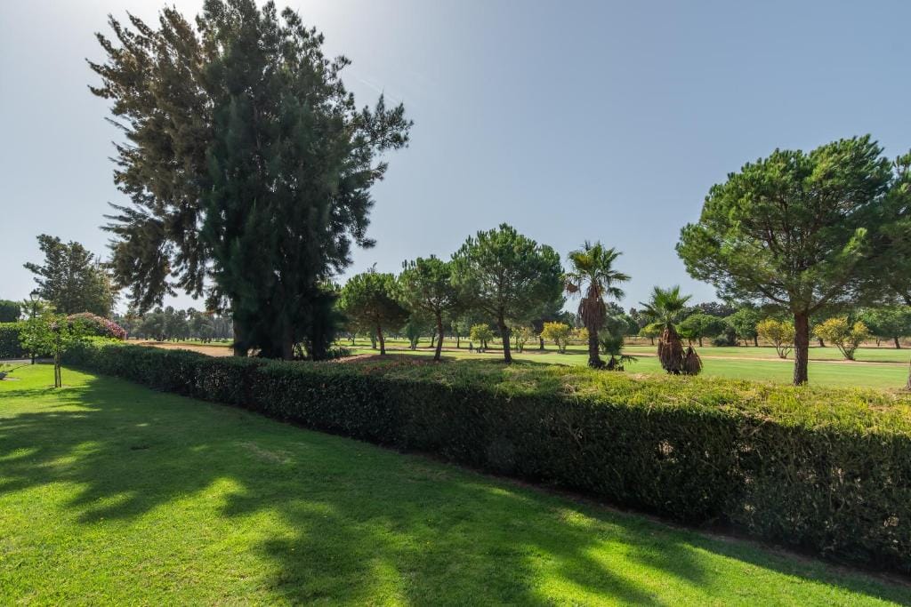 El rincon Isla Canela 3