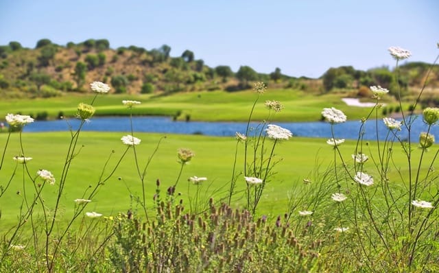 Golf vakantie portugal Monte rei aanbieding lastminute12