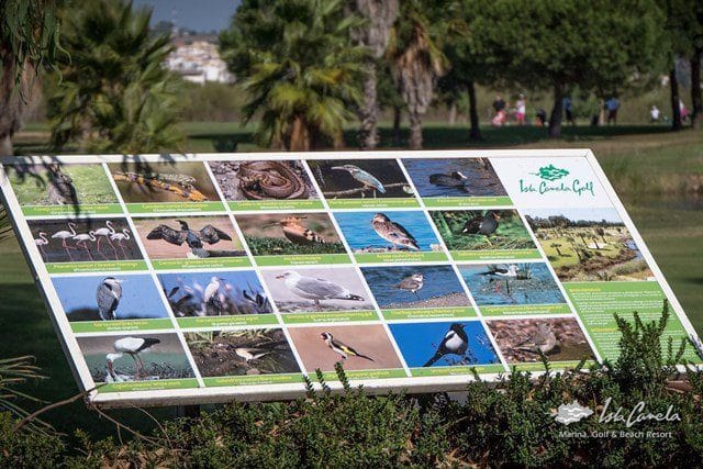 #golfvakantie #spanje #islacanela #Valleguadanialinks27