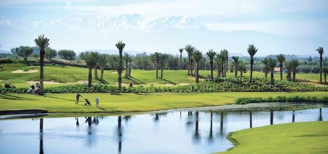 #IBEROSTAR CLUB PALMERAIE MARRAKECH #golfvakantiemarokko11001