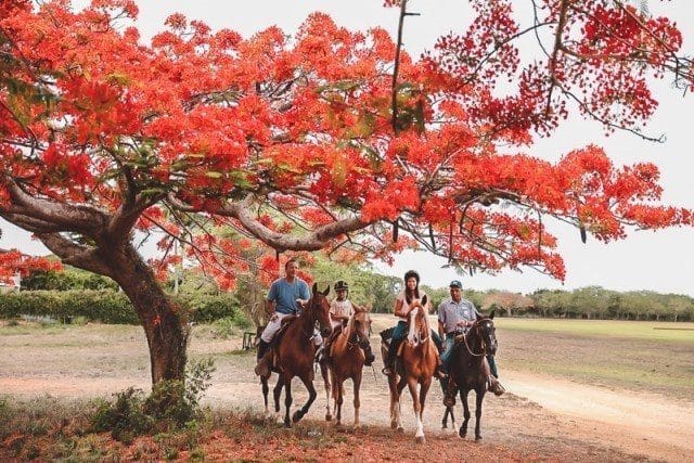 Casa de Campo Resort & Villas La Romana Dominicaanse republiek golfvakantie20