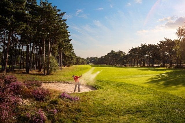 #Golfvakantie Nederland Golfbaan Het Rijk van Nunspeet19
