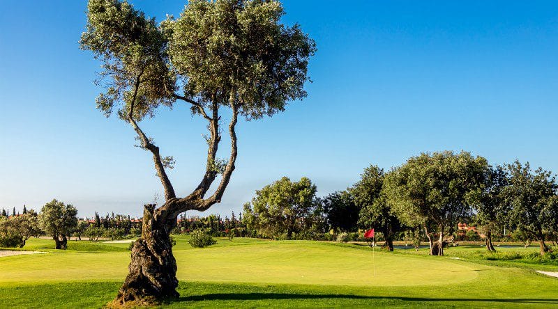 golfvakantie portugal Quinta da ria cima golf 10