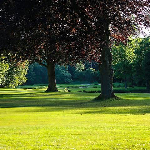 golf vakantie frankrijk Chateau Augerville1013