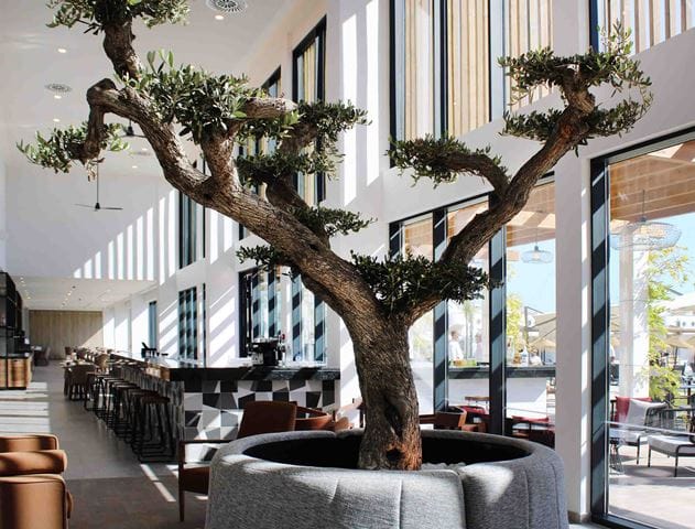 AP CABANAS BEACH & NATURE hot (32)