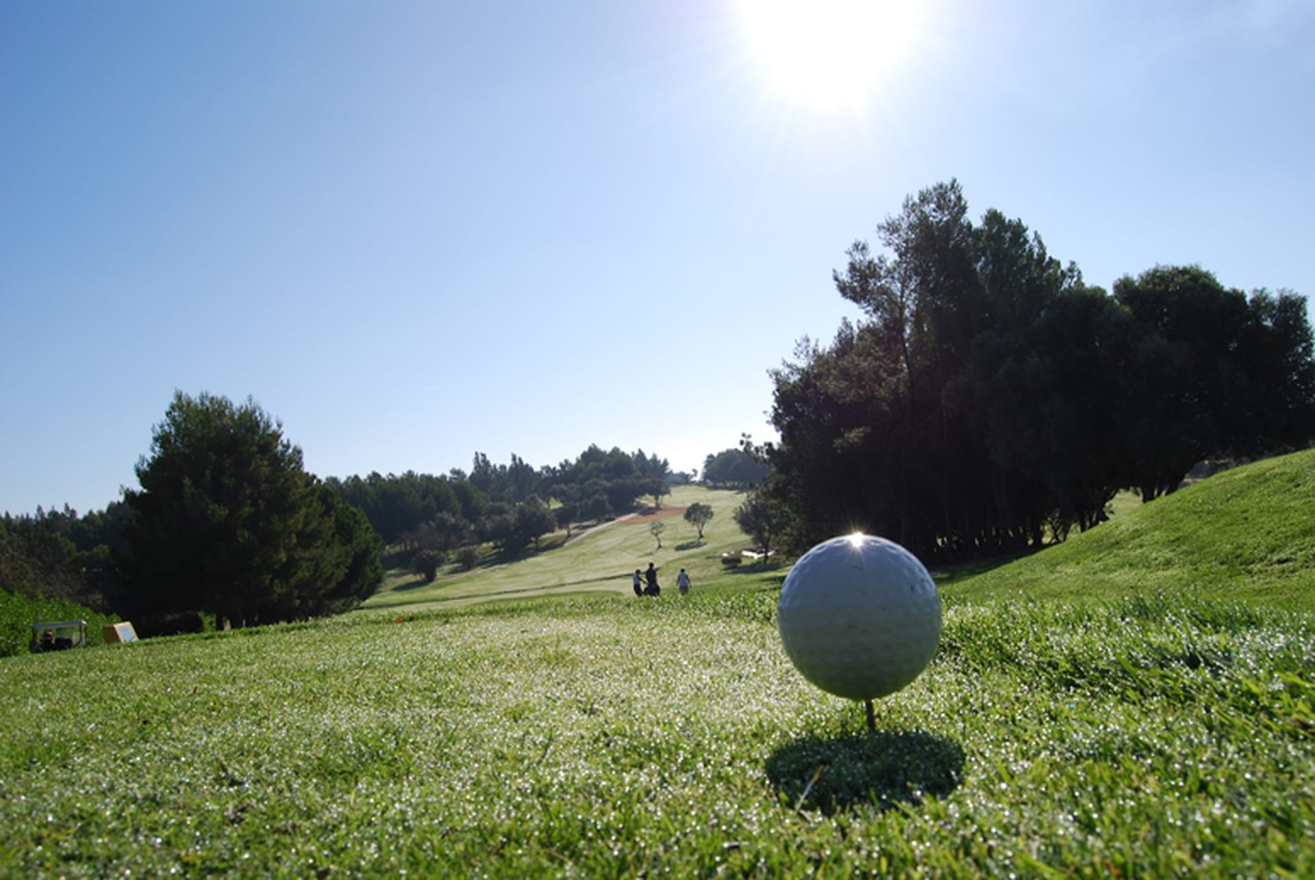 Pestana-Alto-Golf-3-low
