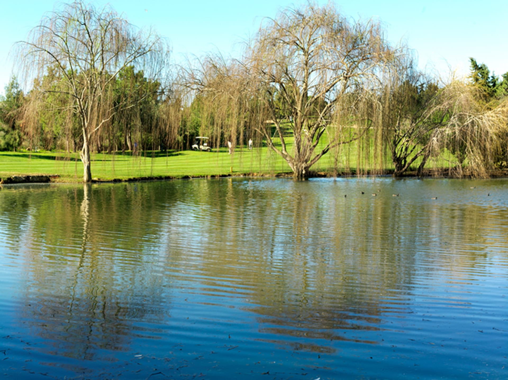 Pestana-Alto-Golf-4-low