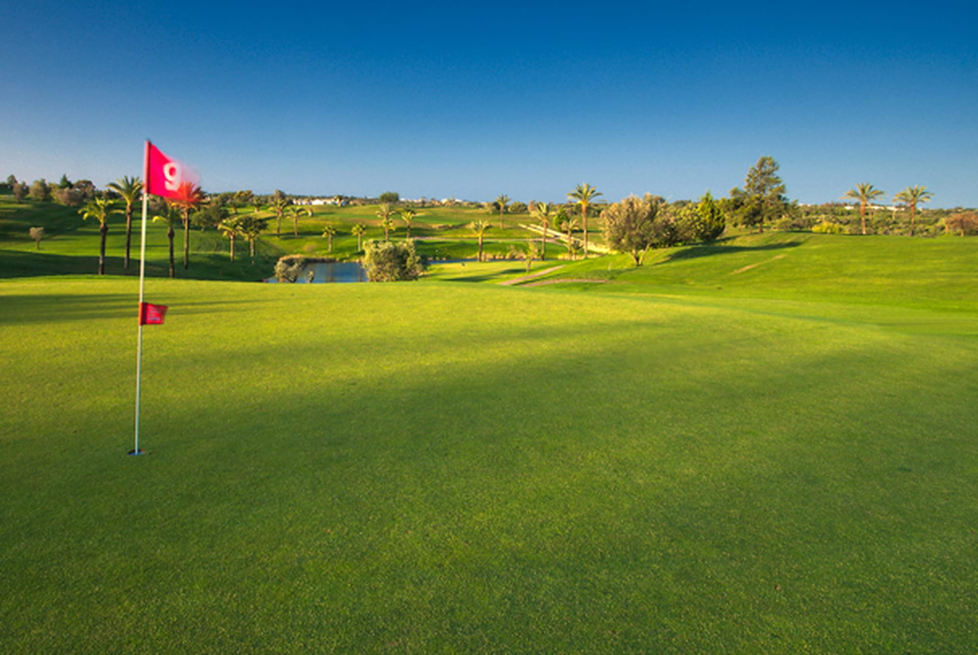 Pestana-Gramacho-3-low