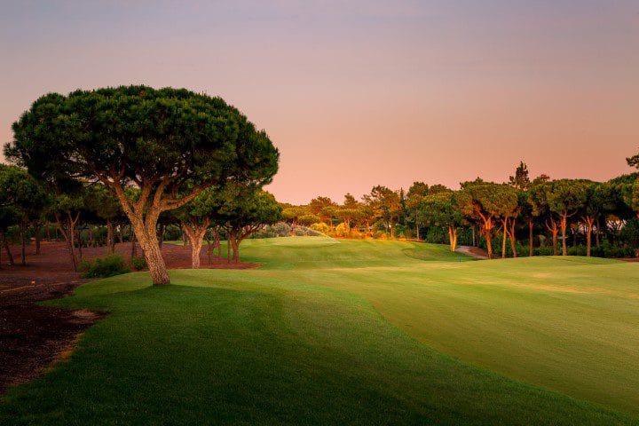 QDL-North (4) (Klein)