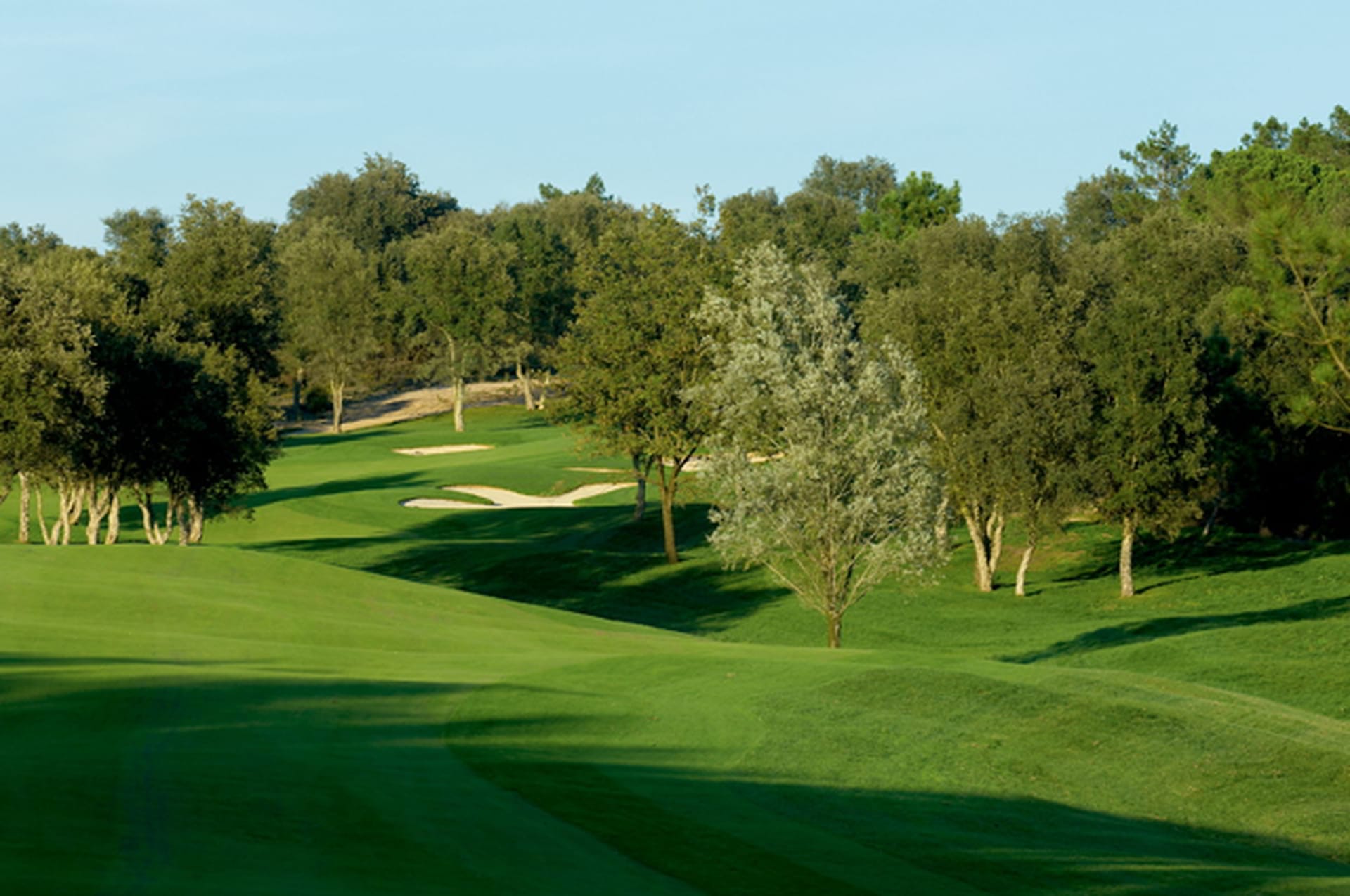 Tour Course 7 - PGA Catalunya Resort