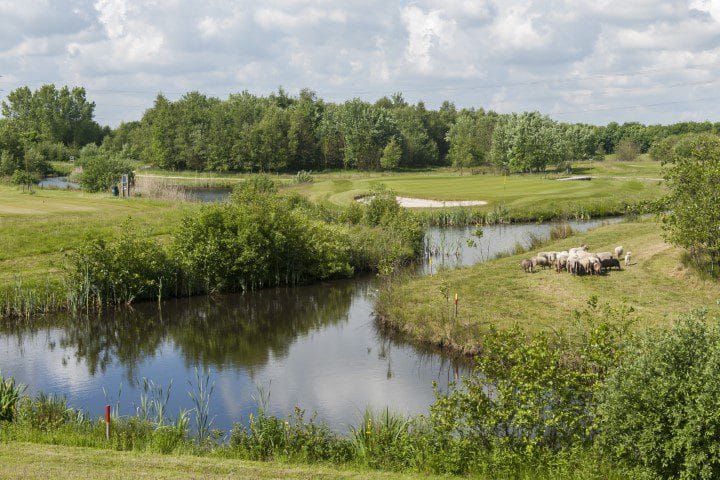 Golf Lodge Drenthsche golf golfvakantie nederland 8 (10)
