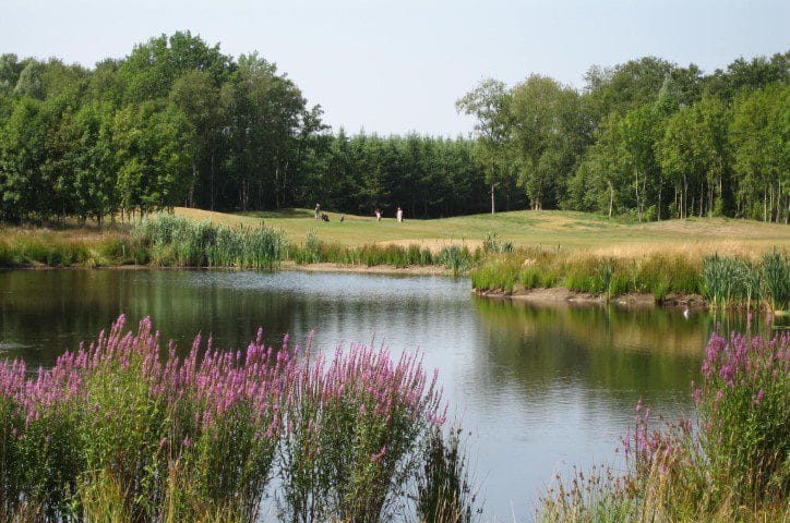 Golf Lodge Drenthsche golf golfvakantie nederland 8 (11)