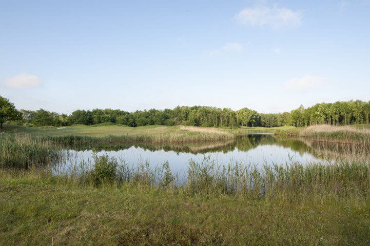 Golf Lodge Drenthsche golf golfvakantie nederland 8 (3)