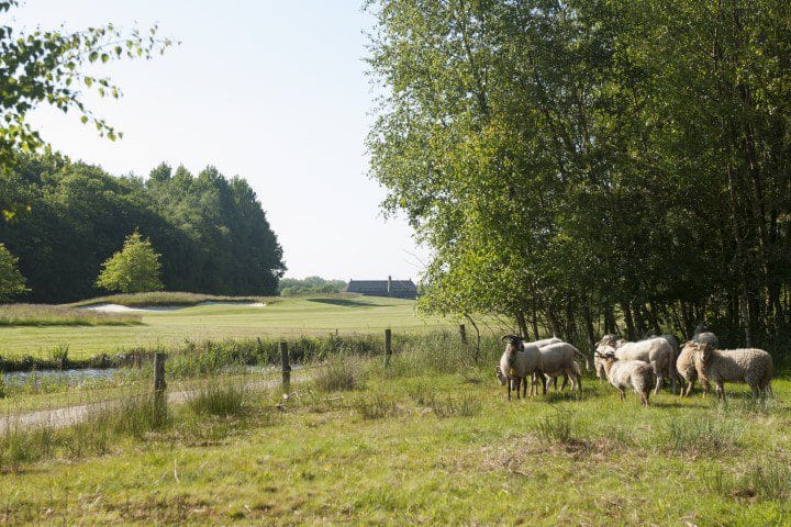 Golf Lodge Drenthsche golf golfvakantie nederland 8 (4)