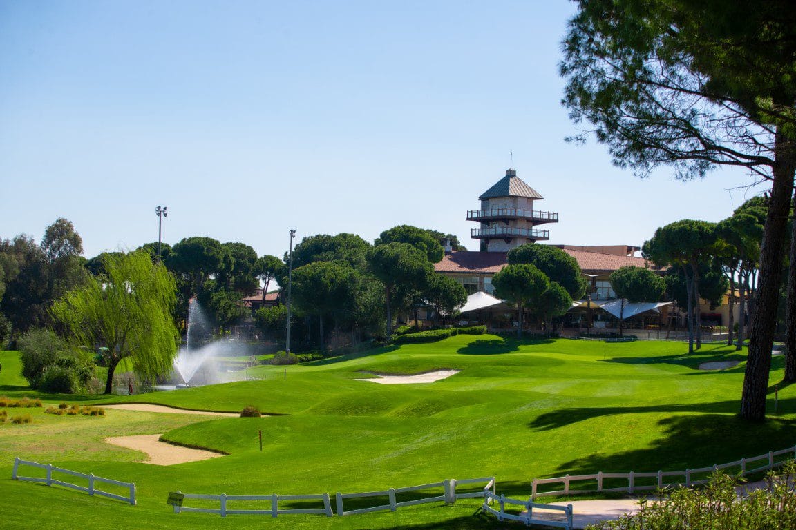 Montgomerie Max Royal (10)