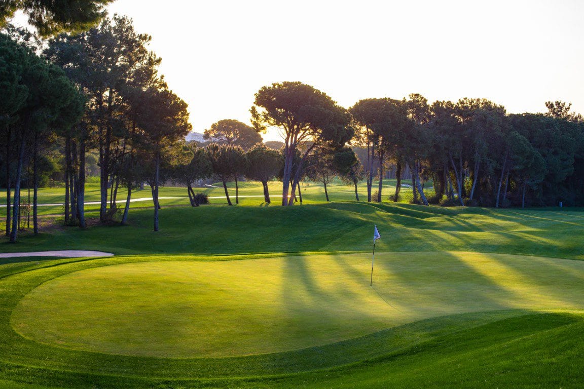 Montgomerie Max Royal (4)