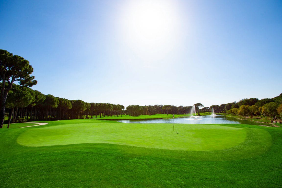 Montgomerie Max Royal (5)