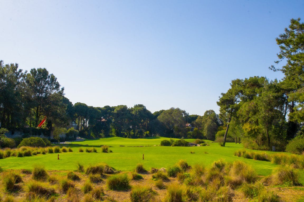 Montgomerie Max Royal (7)