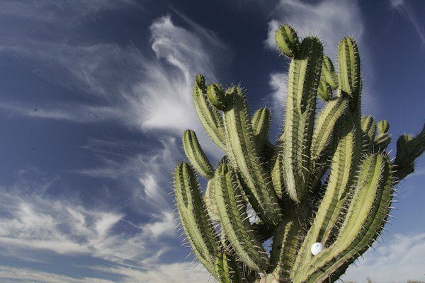 THE INDIANA COURSE (11)