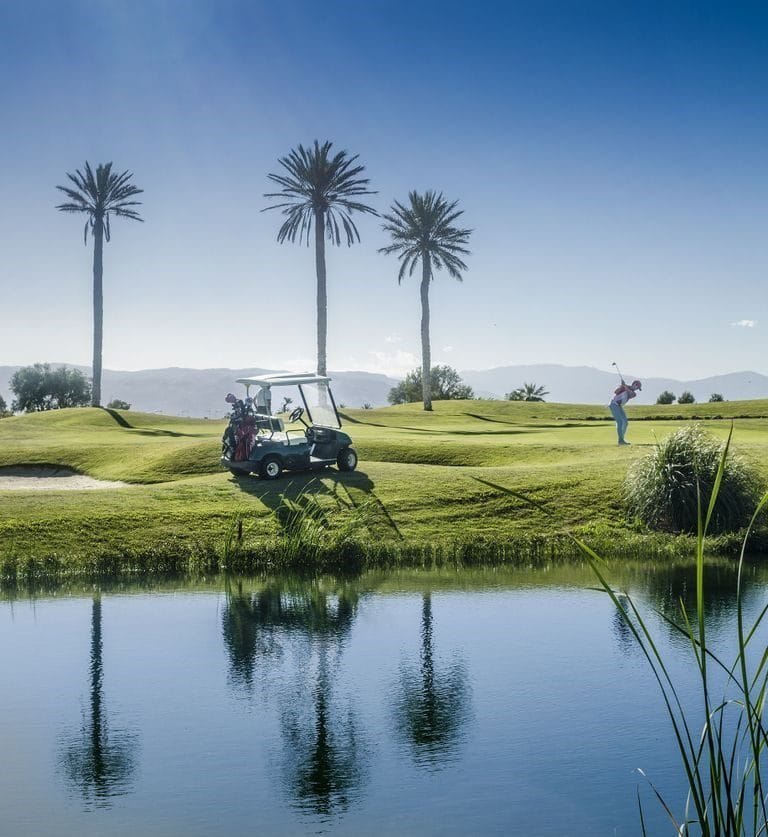 HOTEL CABOGATA BEACH ALMERIA golfvakantie (59)