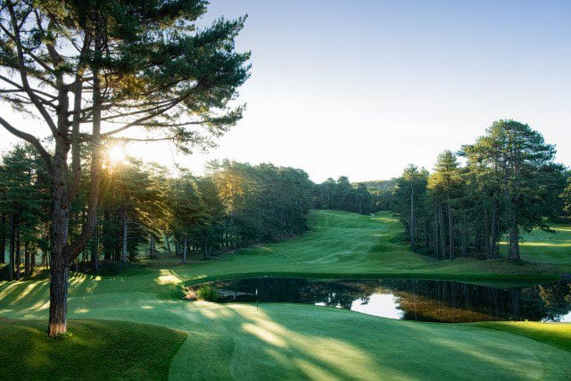 Golf Hardelot golfarrangememtje (5)