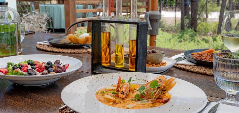 Pestana Troia Eco Resort Residences 2