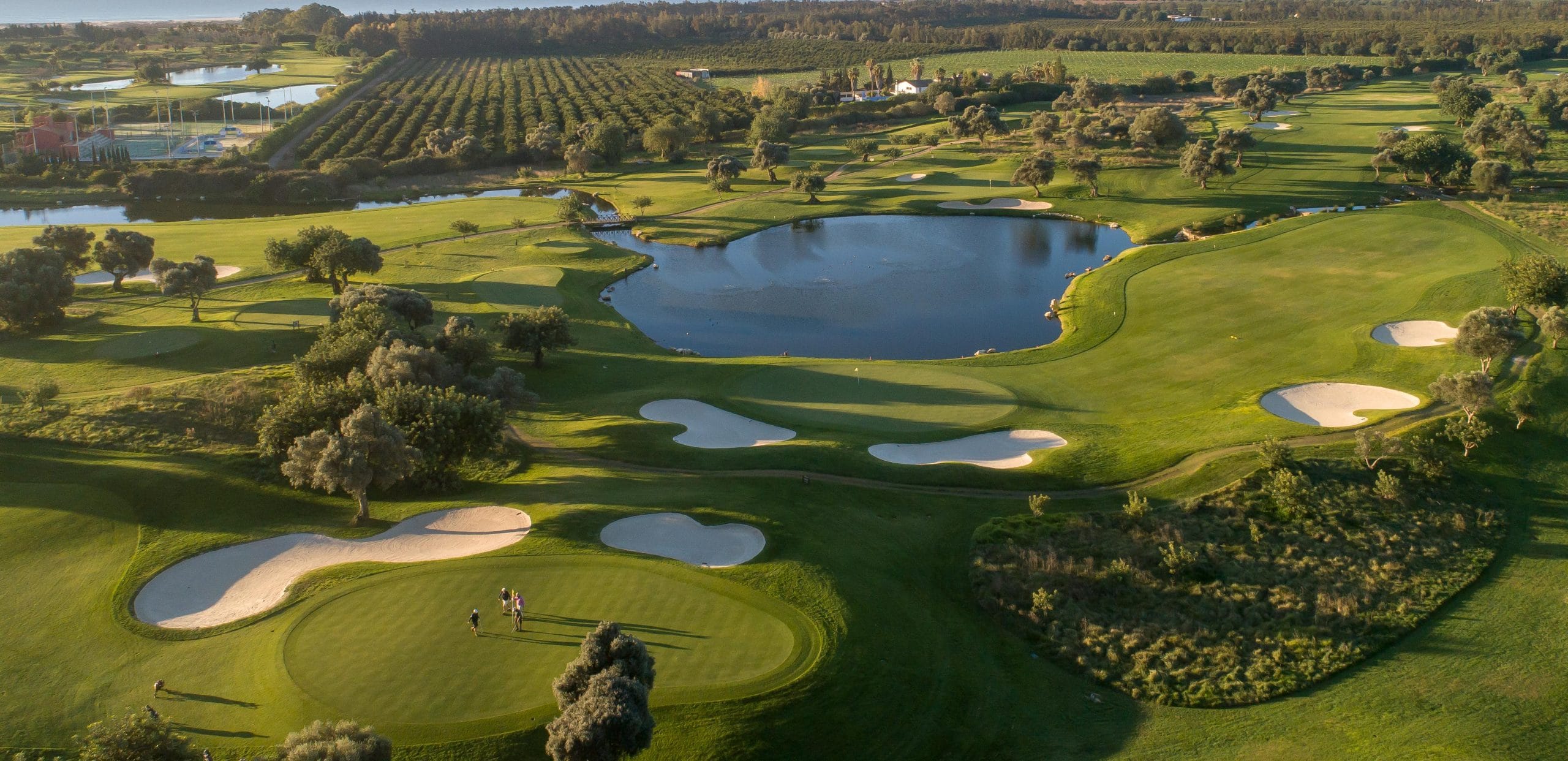 Drone - Quinta de Cima 1 & 16