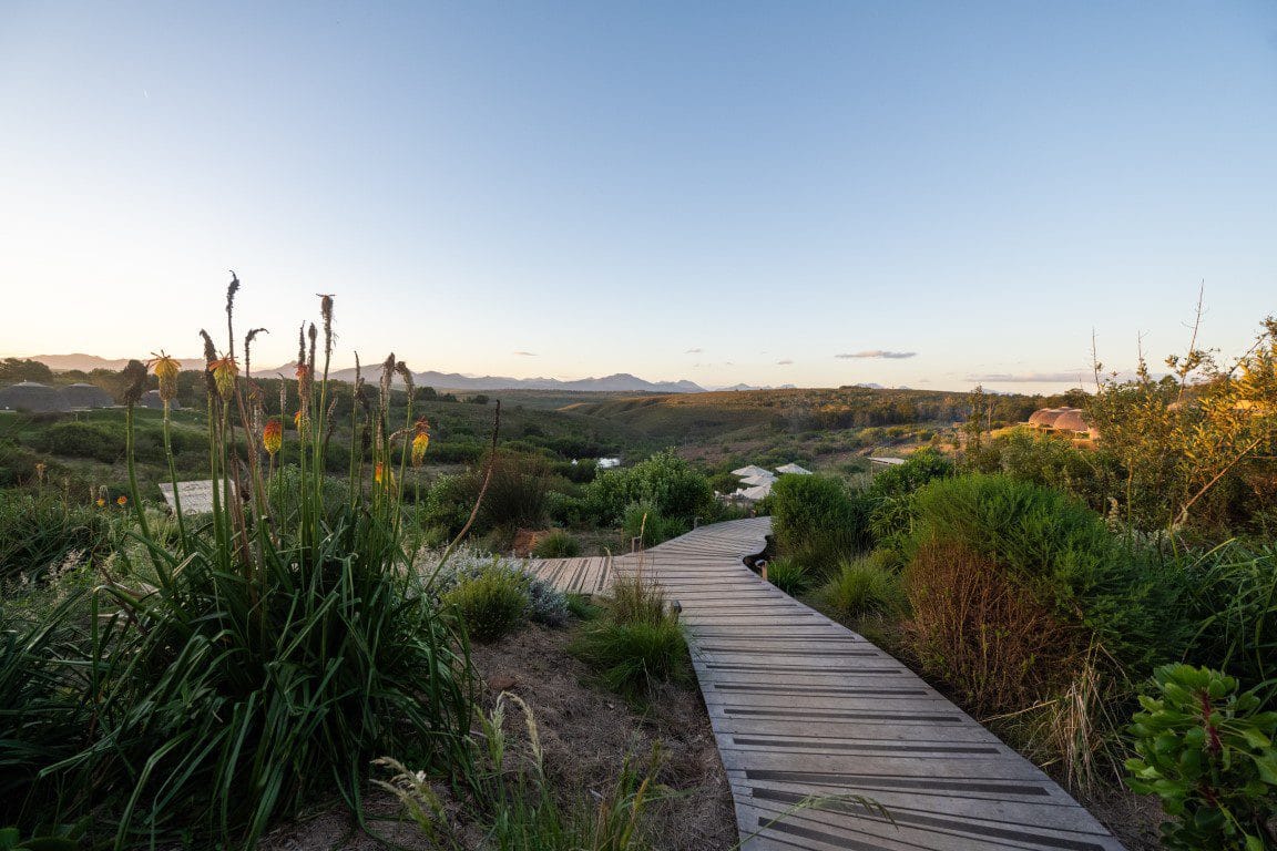 Kwena Suite Gondwana golfreis zuid afrika golfarrangementje (12)