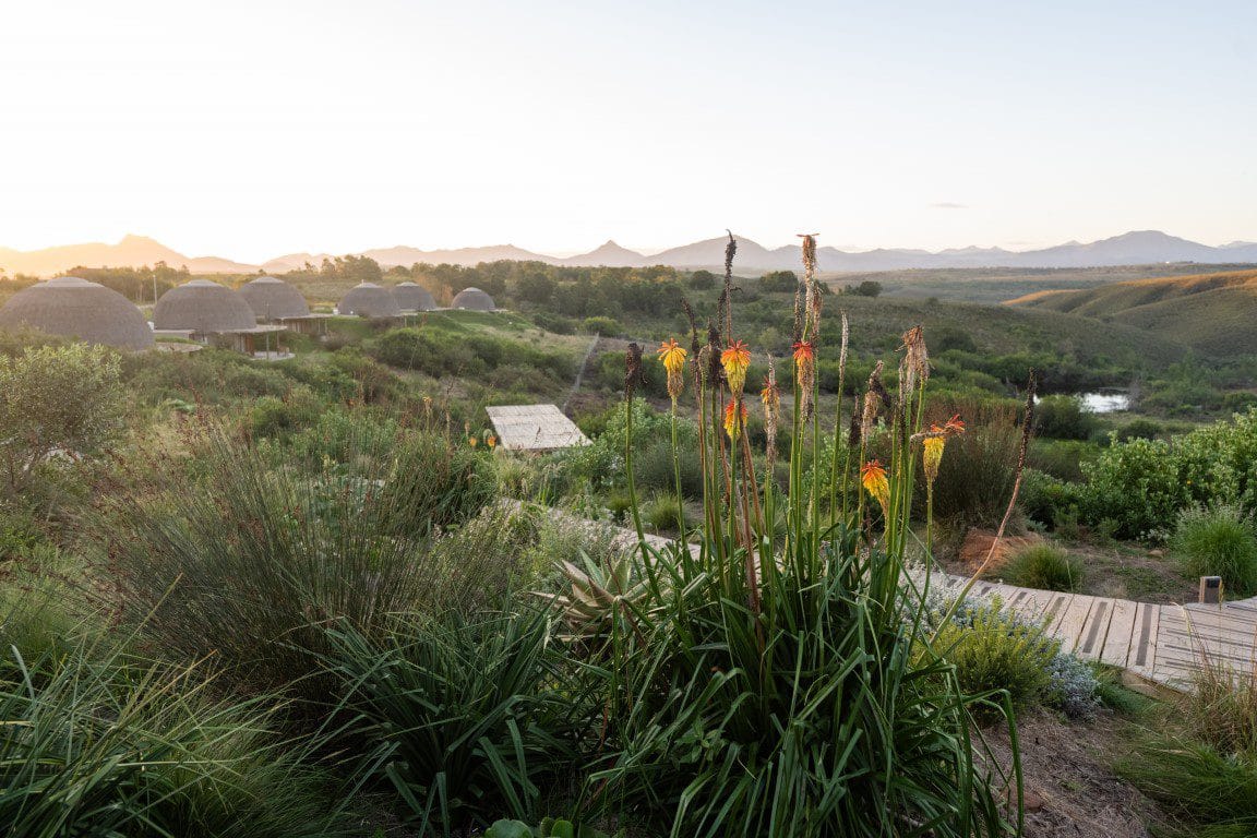 Kwena Suite Gondwana golfreis zuid afrika golfarrangementje (13)