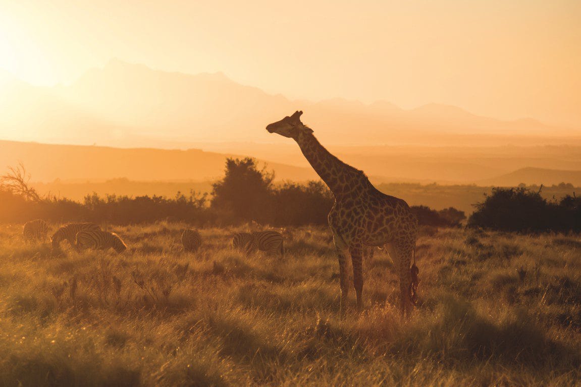 Safari Gondwana golfreis golfarrangementje zuid afrika (8)