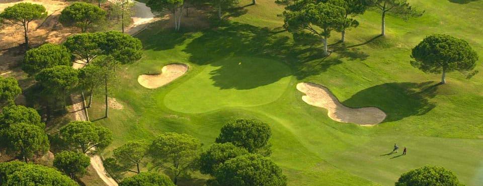 Vilamoura Golf pinhal