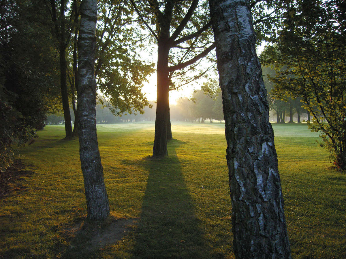 Hotel zur Linde Wellings Romantik golf reis Duitsland golfarrangementje issum golf 4