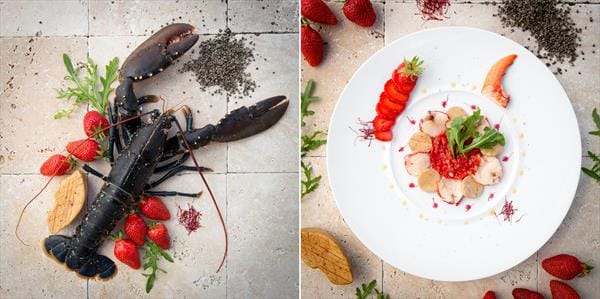 Château des Vigiers Golf & Country Club golfarrangementje Golfreizen (3)