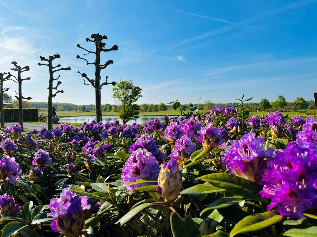 Golfarrangementje Golfreizen de Haenen hotel de villa (10)