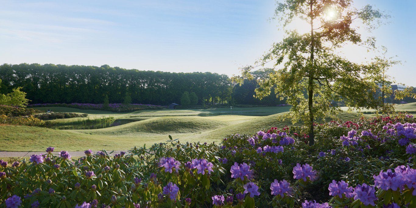 golf in Brabant; Hotel de Villa,  Turfvaert  en de  Haenen