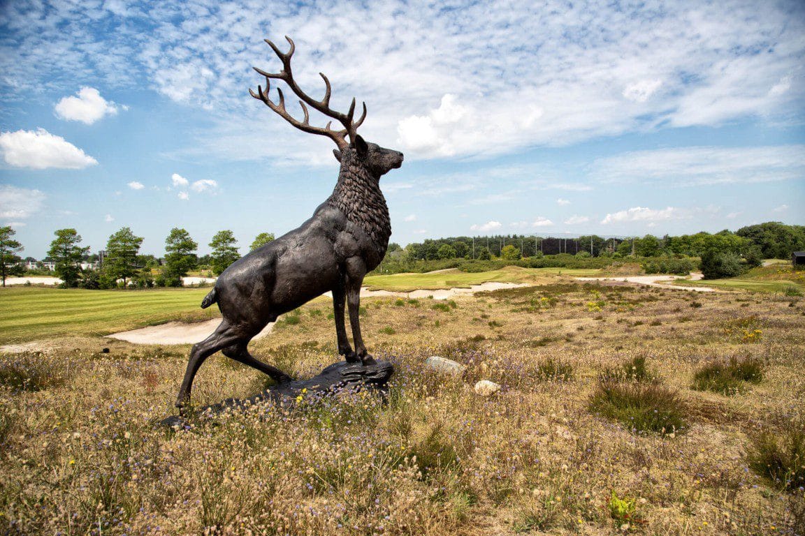 Golfarrangementje Golfreizen de Haenen hotel de villa (8)