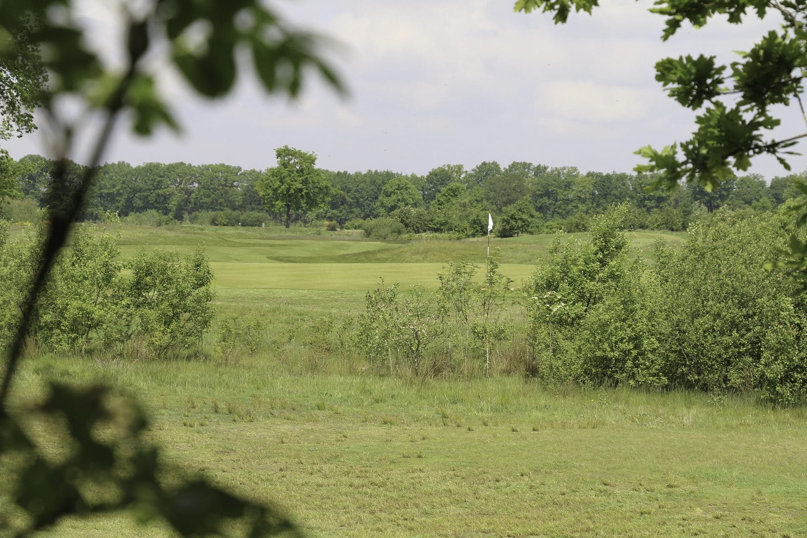 Golfarrangementje Golfreizen hotel de villa De Turfvaert (1)