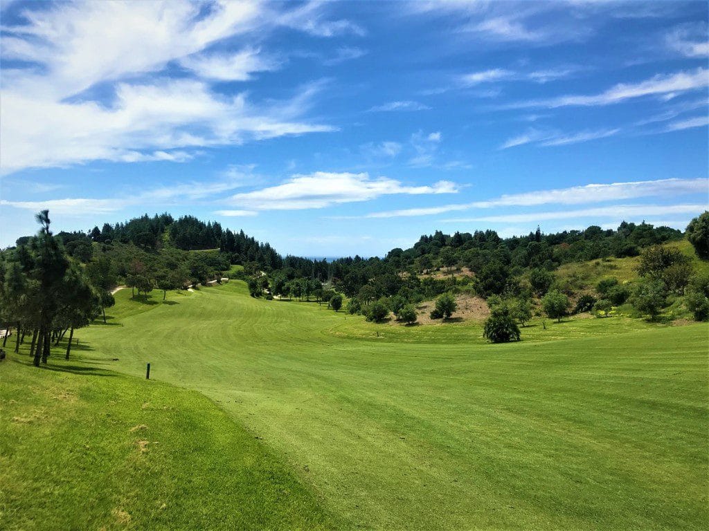 Chaparral golfarrangementje